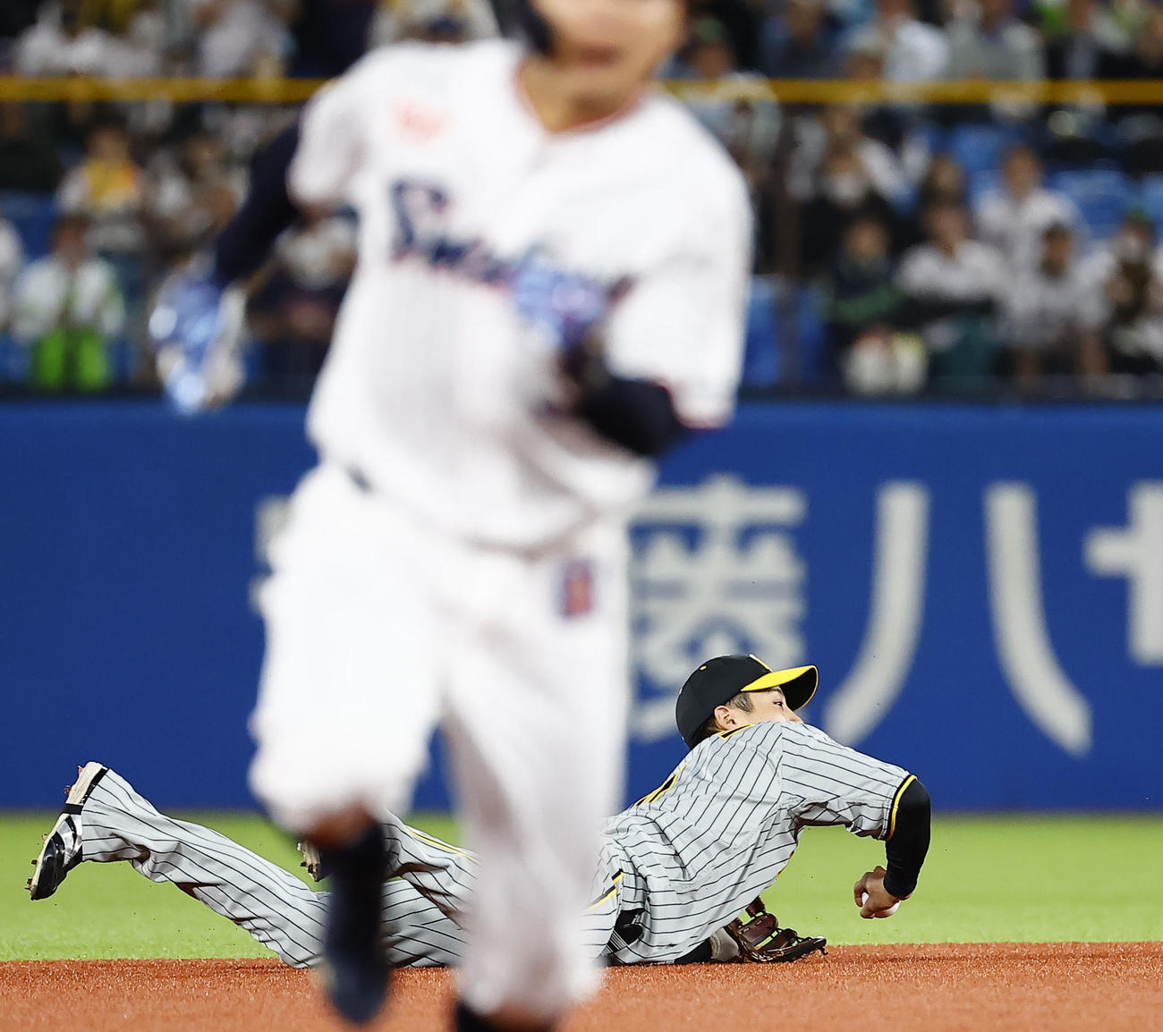 阪神対ヤクルト　6回裏ヤクルト1死一、二塁、塩見の打球に飛びつき、そのまま二塁へトスし封殺する阪神遊撃手の木浪（撮影・藤尾明華）