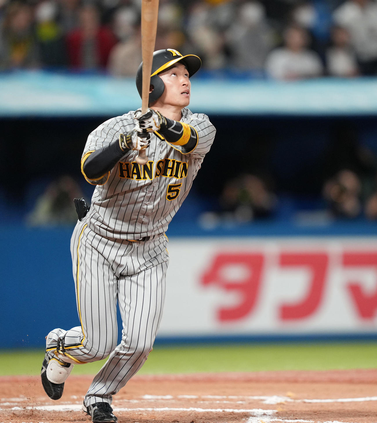 ヤクルト対阪神　8回表阪神無死、右越えソロ本塁打を放つ近本（撮影・鈴木みどり）