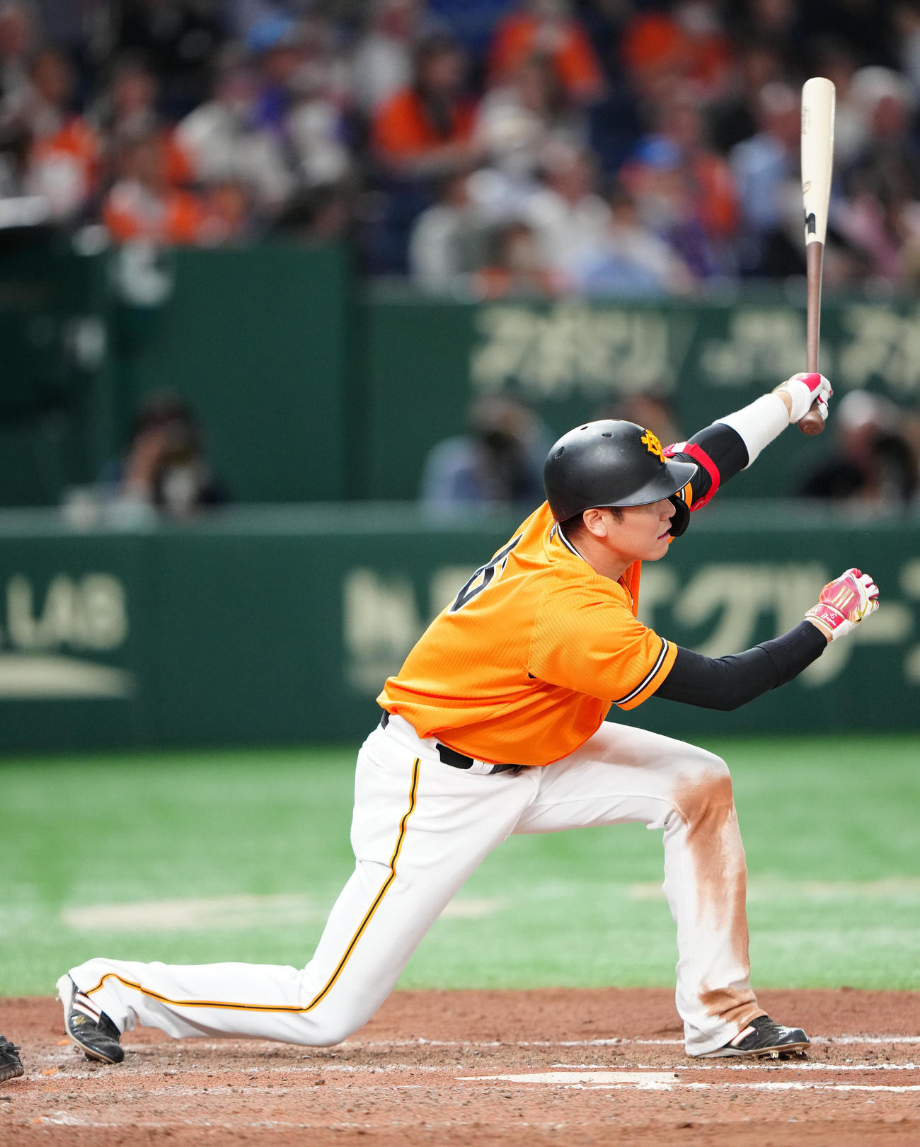 巨人対DeNA 6回裏巨人2死二塁、適時二塁打を放つ坂本（撮影・江口和貴）