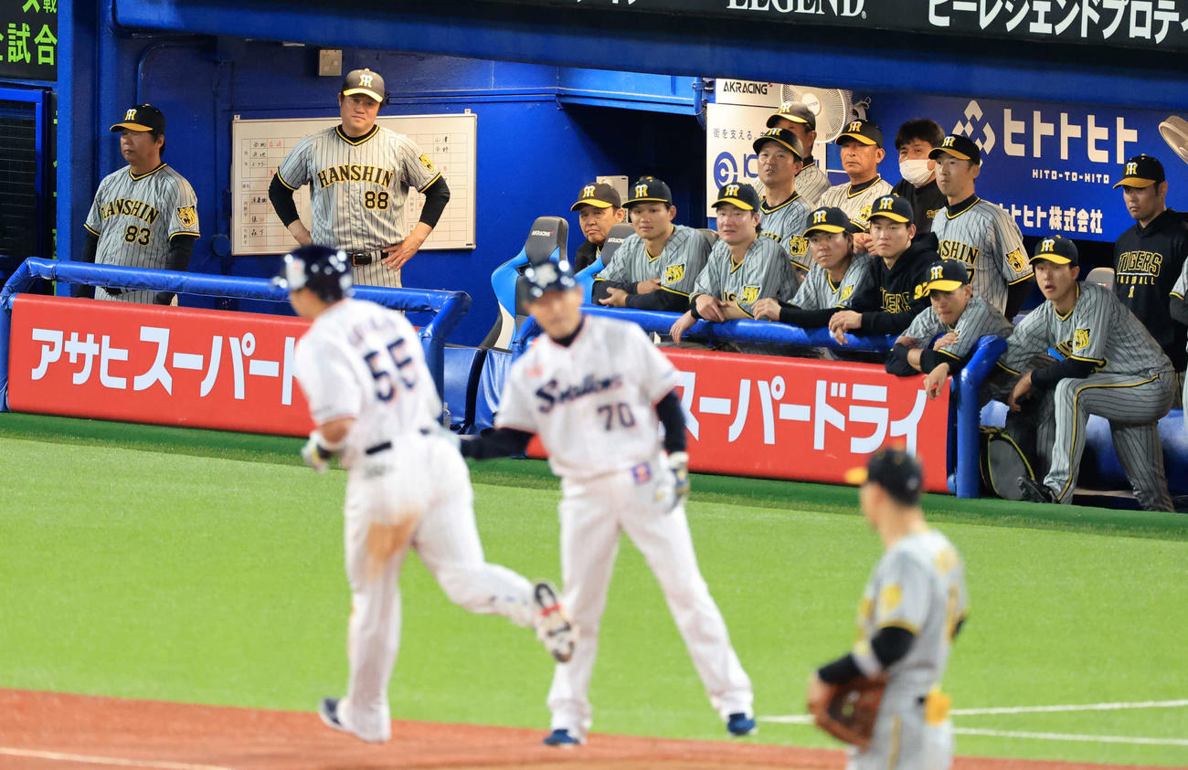 ヤクルト対阪神　10回裏ヤクルト2死、村上（手前左）に右越えソロ本塁打を許し、静かに見つめる岡田監督（中央）ら阪神ベンチ（撮影・浅見桂子）