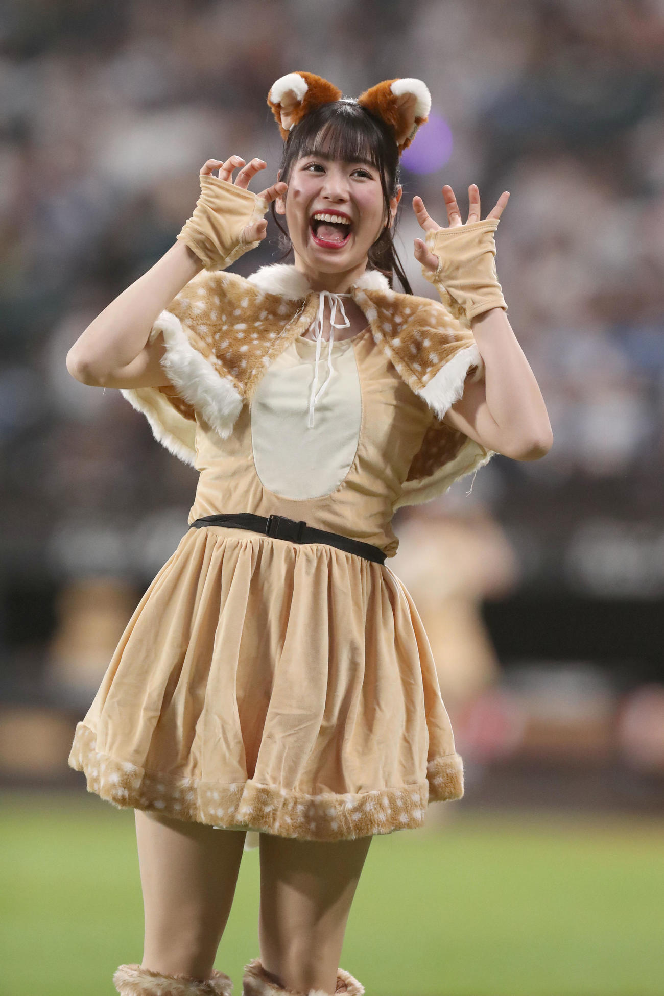 日本ハム対ソフトバンク　「きつねダンス」を踊るファイターズガールの滝谷美夢さん（撮影・佐藤翔太）