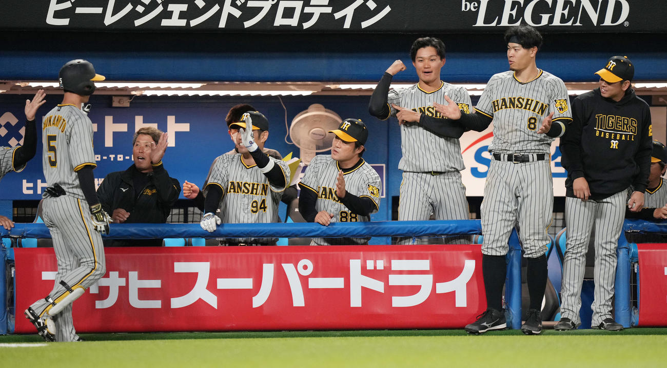 ヤクルト対阪神　8回表阪神無死、右越えソロ本塁打を放った近本（左）を迎えるナイン（撮影・鈴木みどり）