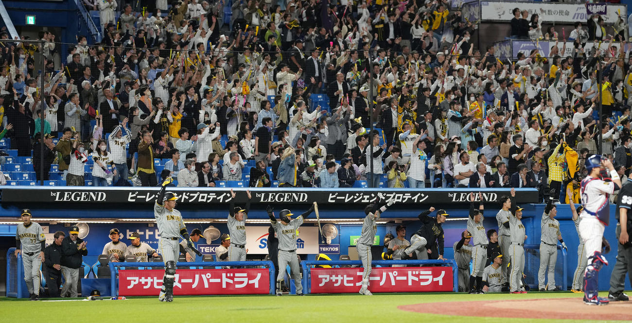 ヤクルト対阪神　10回表阪神2死満塁、佐藤輝の中3点適時二塁打に盛り上がる阪神ベンチとファン（撮影・鈴木みどり）