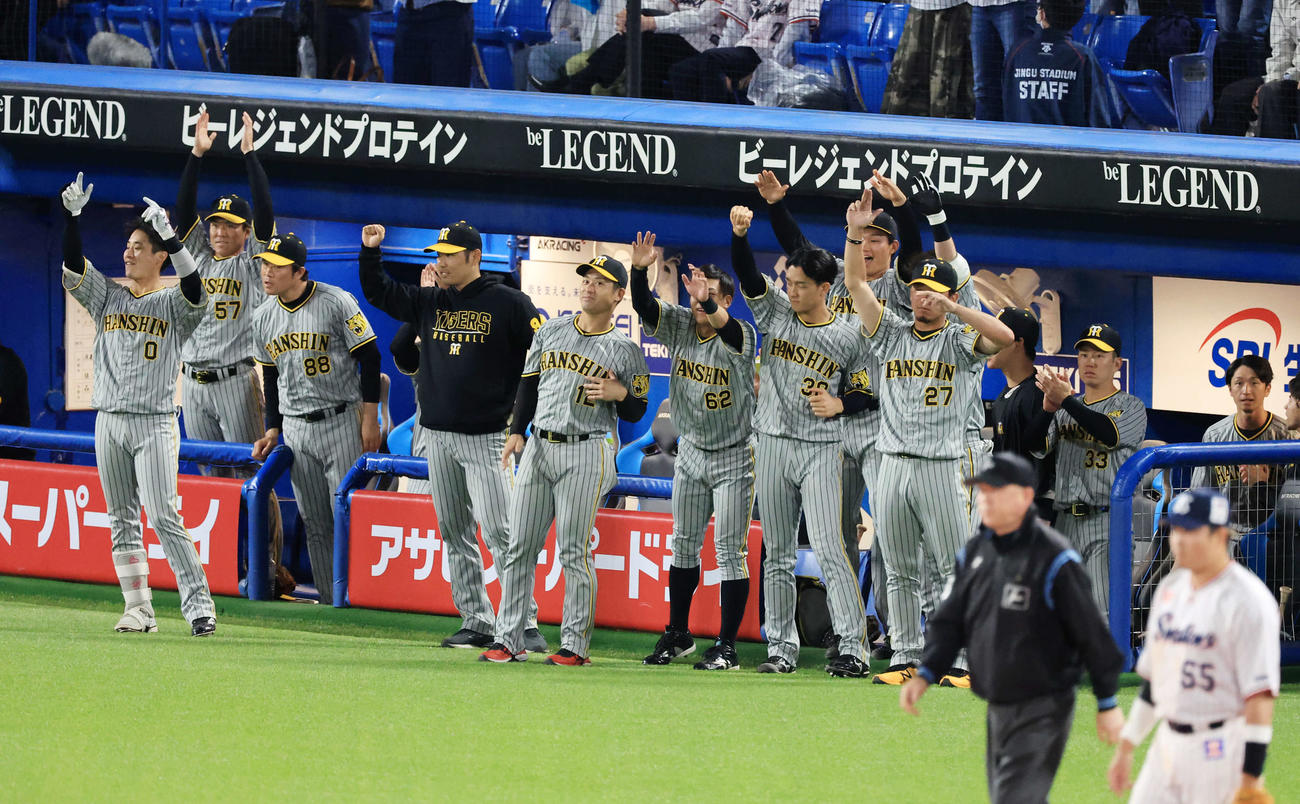ヤクルト対阪神　10回表阪神2死満塁、佐藤輝が走者一掃の中越え適時二塁打を放ち、喜ぶ阪神ベンチ（撮影・浅見桂子）