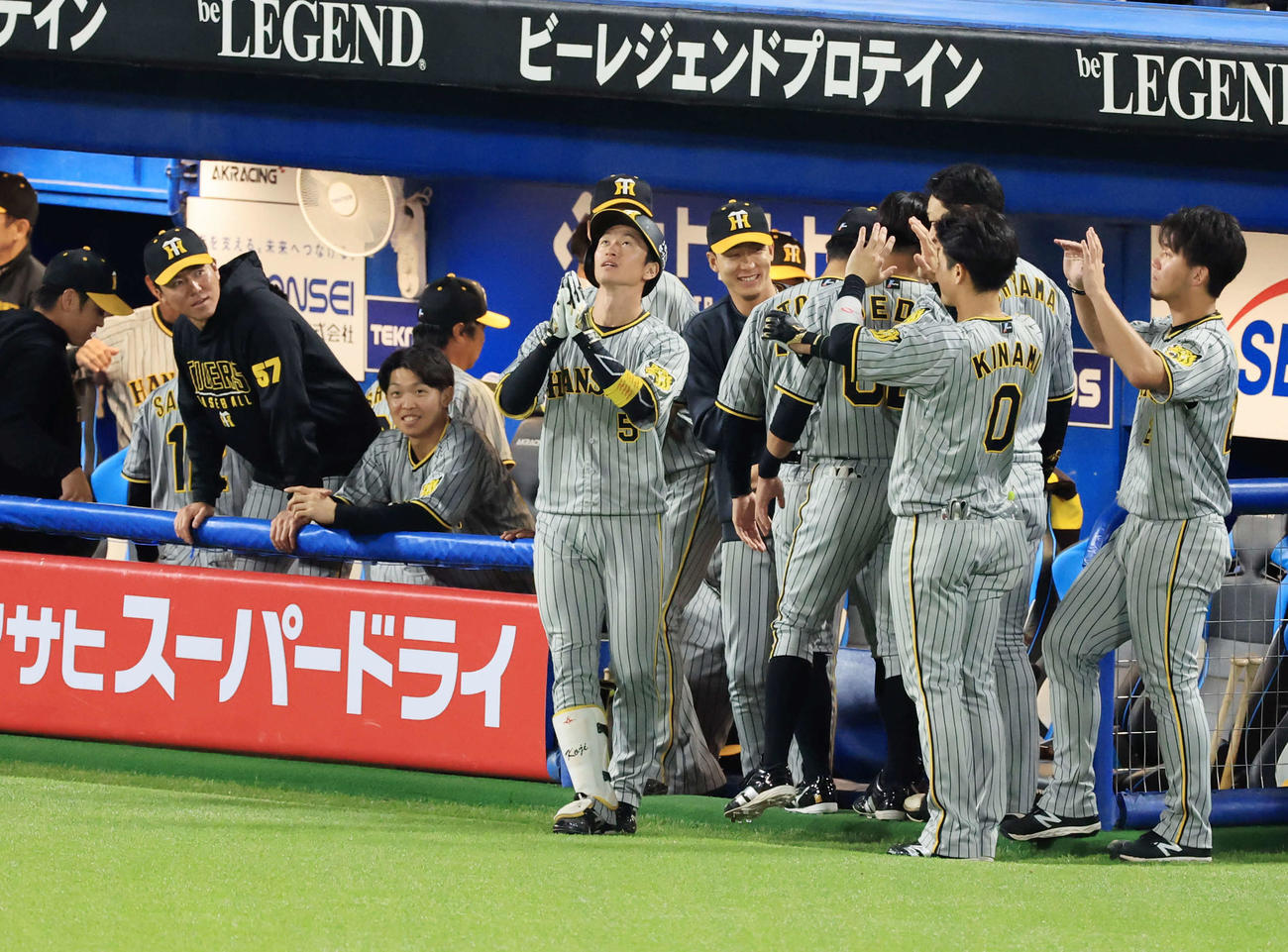 ヤクルト対阪神　8回表阪神無死、近本は右越え勝ち越しソロ本塁打を放ち。ベンチ前で手を合わせる（撮影・浅見桂子）
