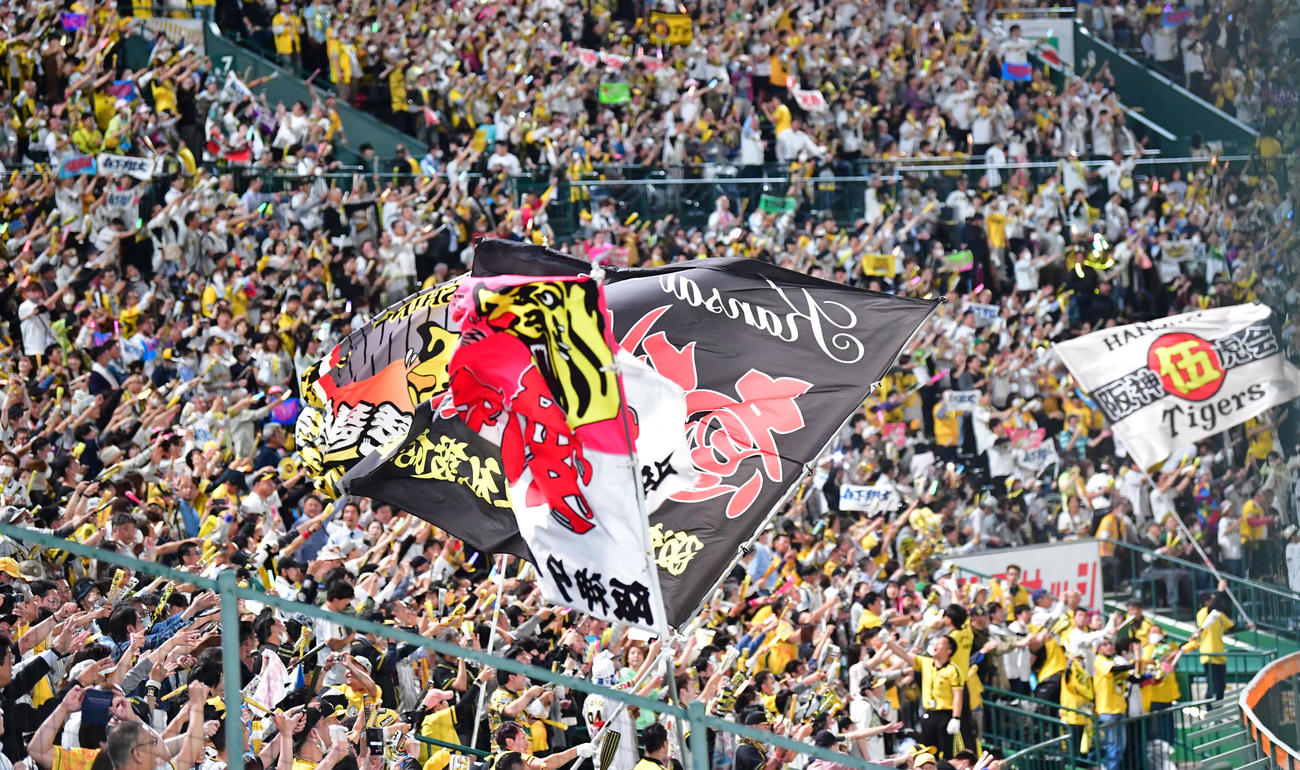 阪神対巨人　巨人に逆転勝ち、喜ぶ阪神ファン（撮影・前岡正明）