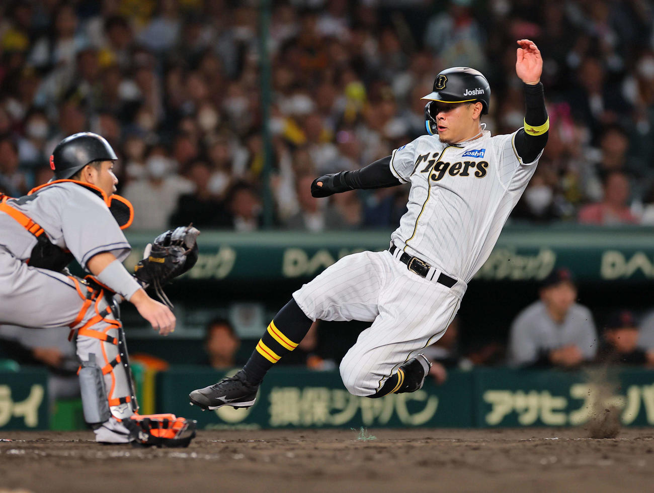 7回裏阪神1死満塁、佐藤輝は木浪の中犠飛で勝ち越しの生還をする（撮影・上田博志）
