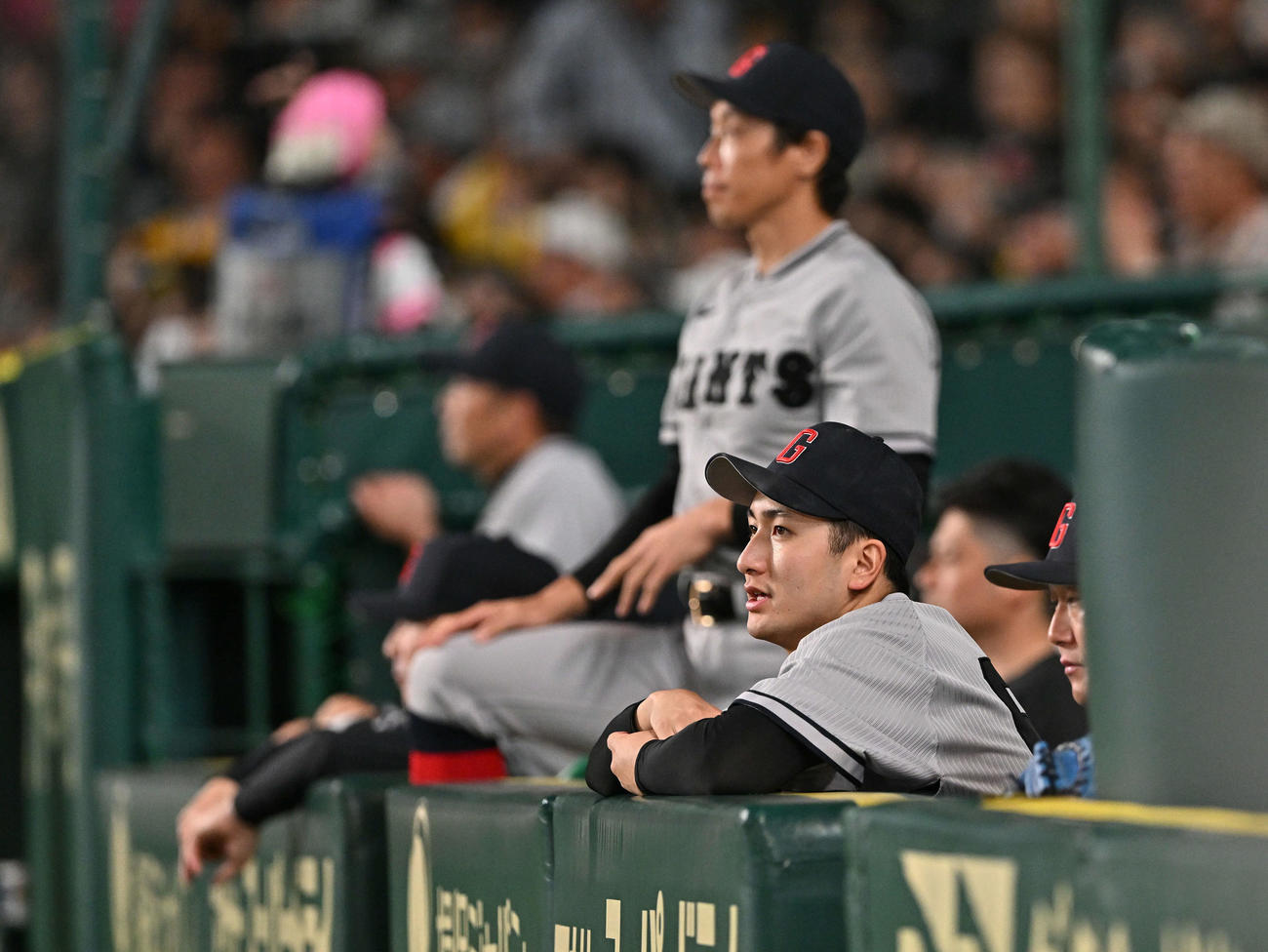 阪神対巨人　7回裏、ベンチから戦況を見つめる巨人横川（手前）（撮影・滝沢徹郎）