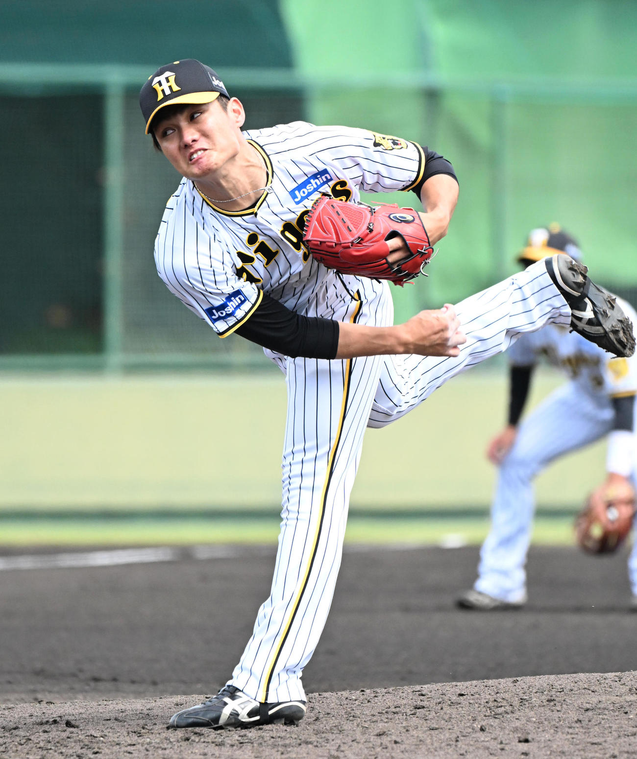 阪神対ソフトバンク　阪神2番手の西純（撮影・石井愛子）