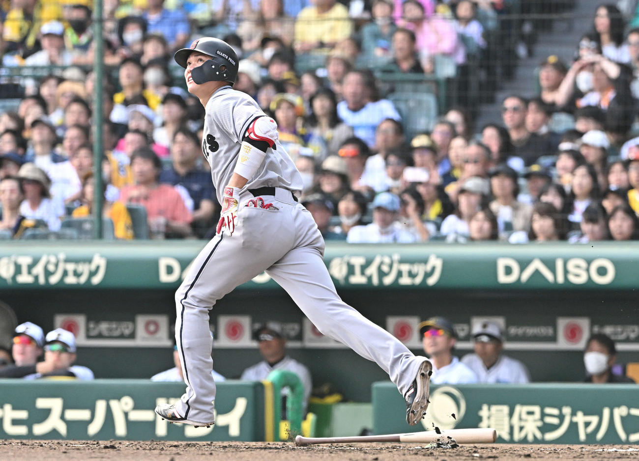阪神対巨人　6回表巨人1死、坂本は左翼に大飛球を放つもファウルとなる（撮影・滝沢徹郎）