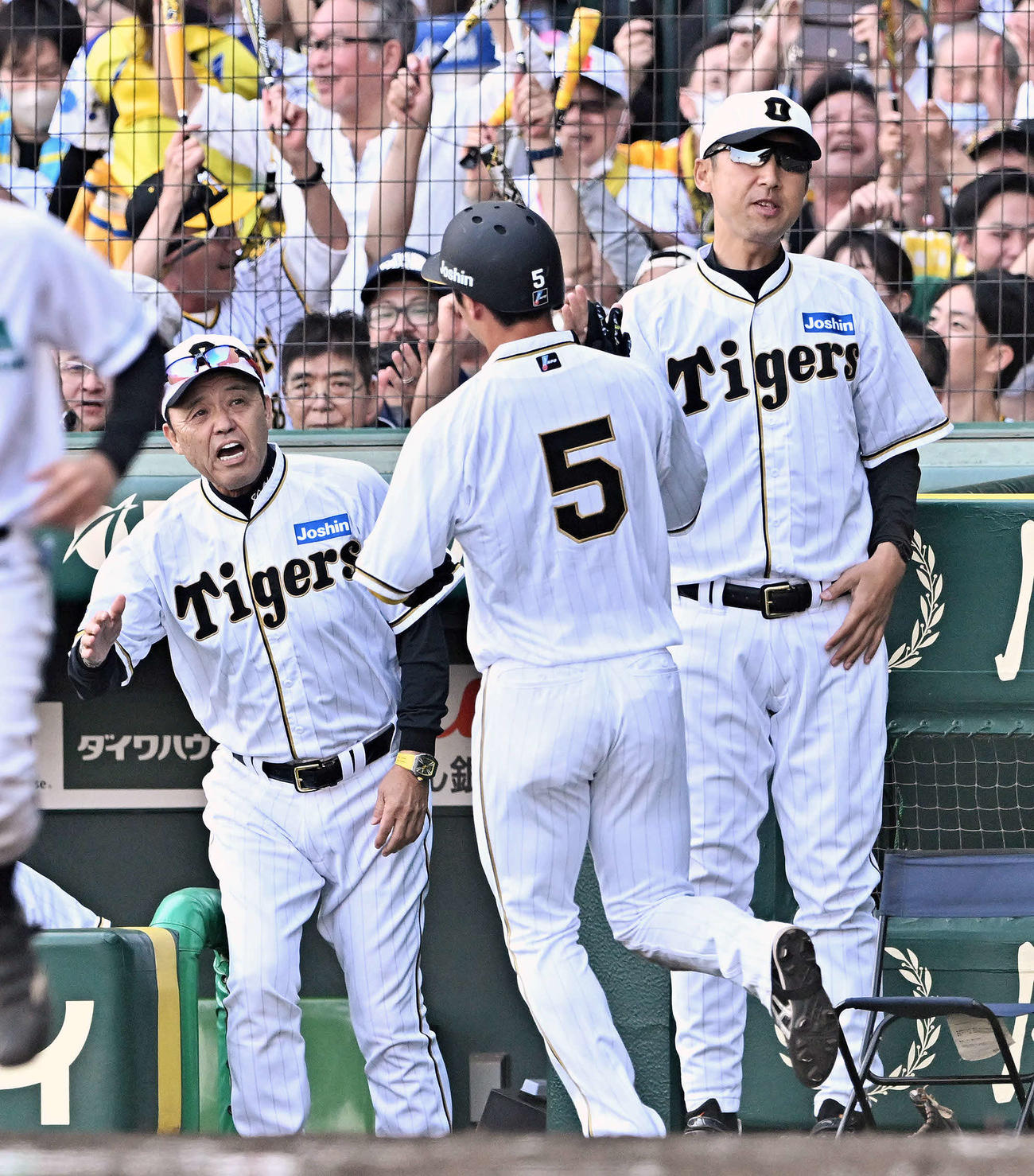 阪神対巨人　7回裏阪神2死二、三塁、中野の2点適時打から生還した二塁走者近本（中央）を迎える岡田監督（左）（撮影・滝沢徹郎）