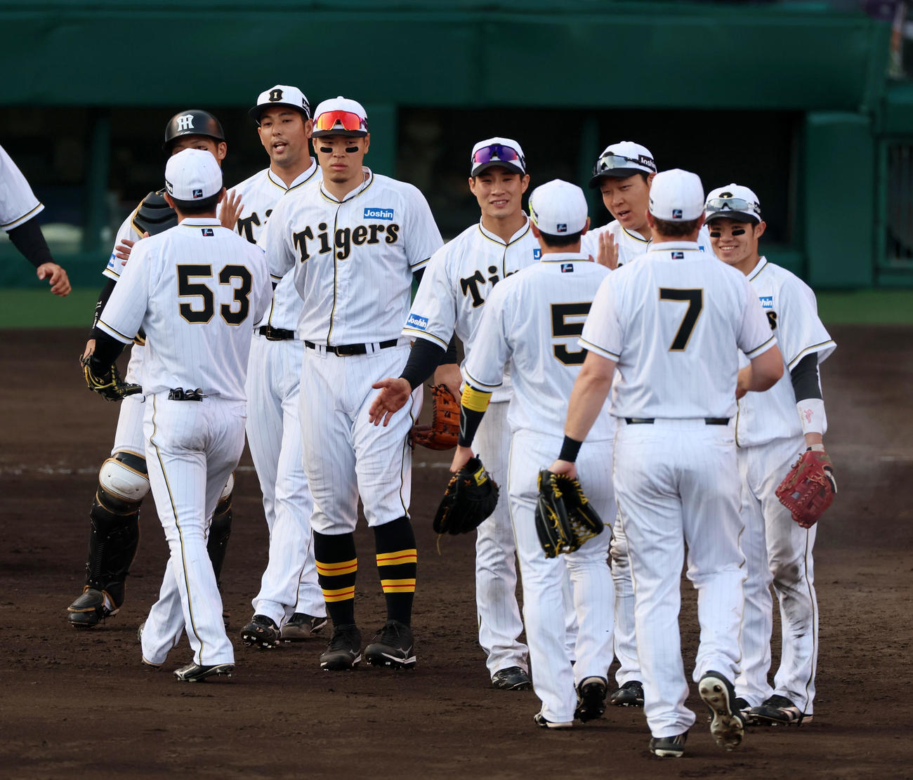 阪神対巨人　巨人に勝利しマウンド付近でタッチする阪神ナイン（撮影・加藤哉）
