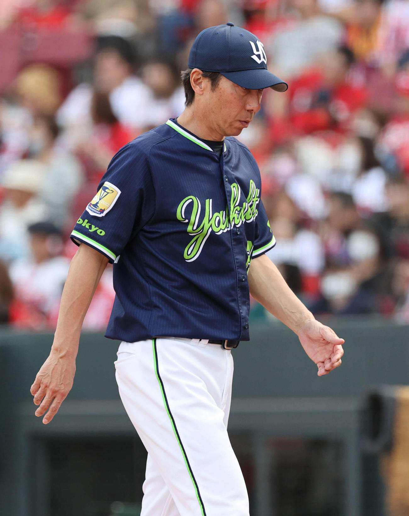 広島対ヤクルト　8回裏広島、交代を告げる高津監督（撮影・加藤孝規）