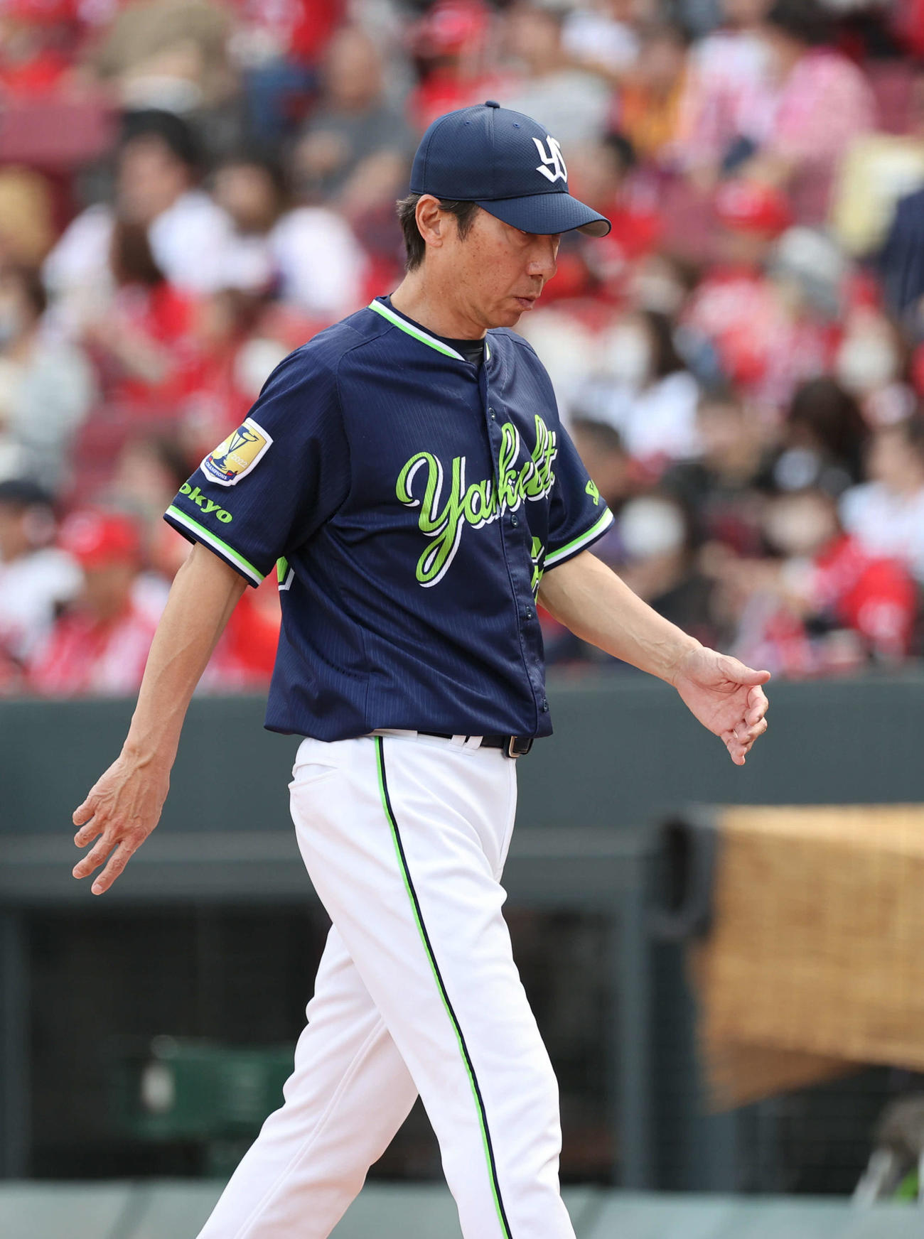 広島対ヤクルト　8回裏広島、交代を告げる高津監督（撮影・加藤孝規）