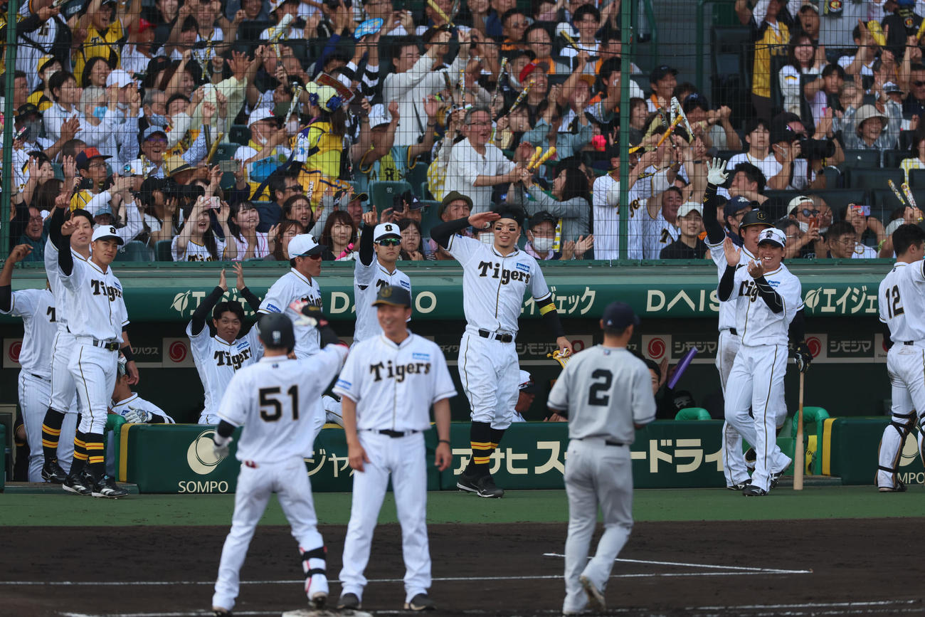 7回裏阪神2死二、三塁、ベンチのナイン総出となり、中前適時打を放った中野へガッツポーズを決める（撮影・加藤哉）