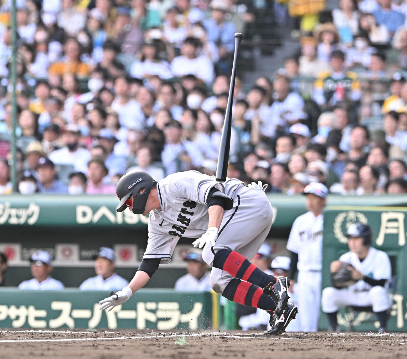 阪神対巨人　7回表巨人無死一塁、長野は遊ゴロを放ちアクシデントで倒れ込む（撮影・滝沢徹郎）