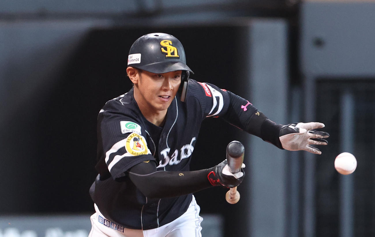 ソフトバンク今宮健太（23年4月撮影）