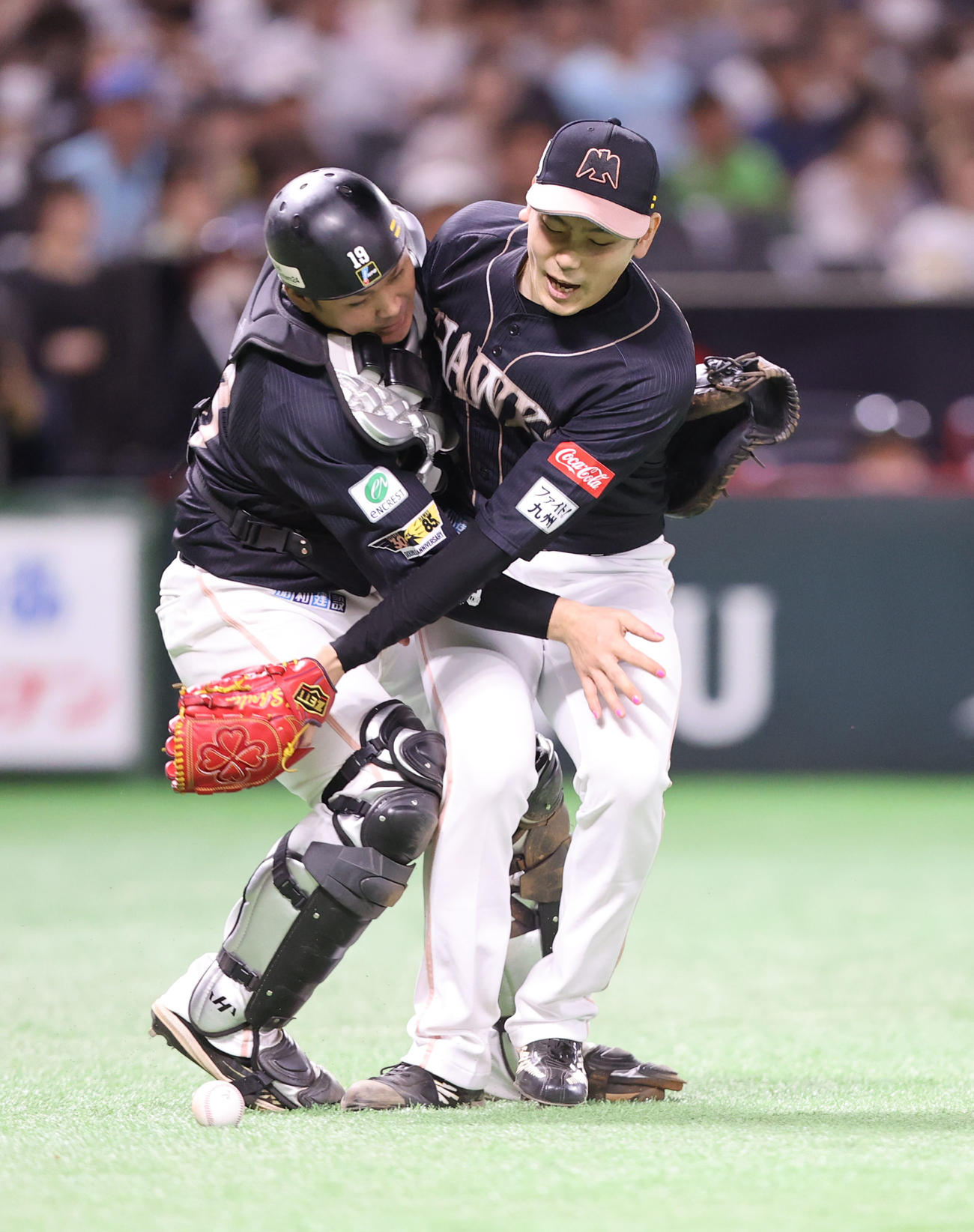 ソフトバンク対ロッテ　3回表ロッテ無死、池田の打球を処理しようとした石川（右）は甲斐と交錯。投手内野安打とする（撮影・梅根麻紀）