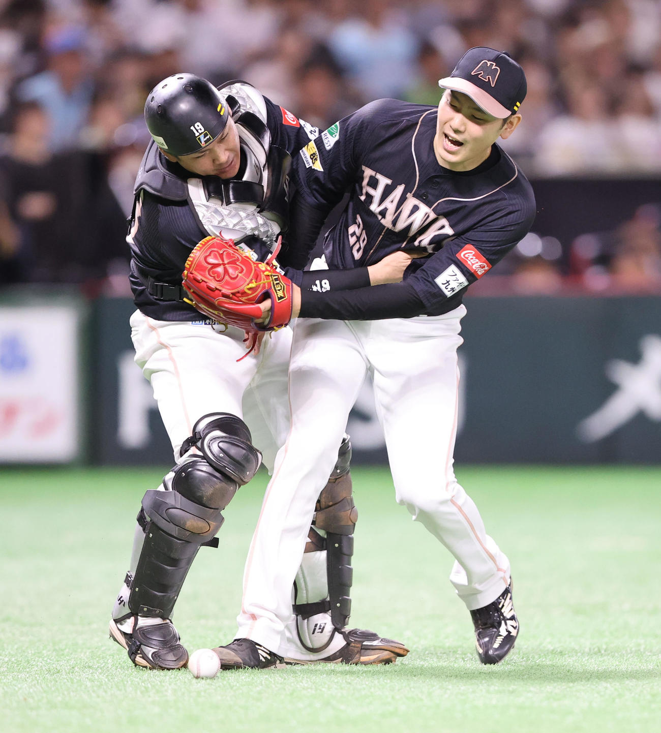回表ロッテ無死、池田来翔の打球を処理しようとした石川は甲斐にぶつかり投内野安打となる（撮影・梅根麻紀）