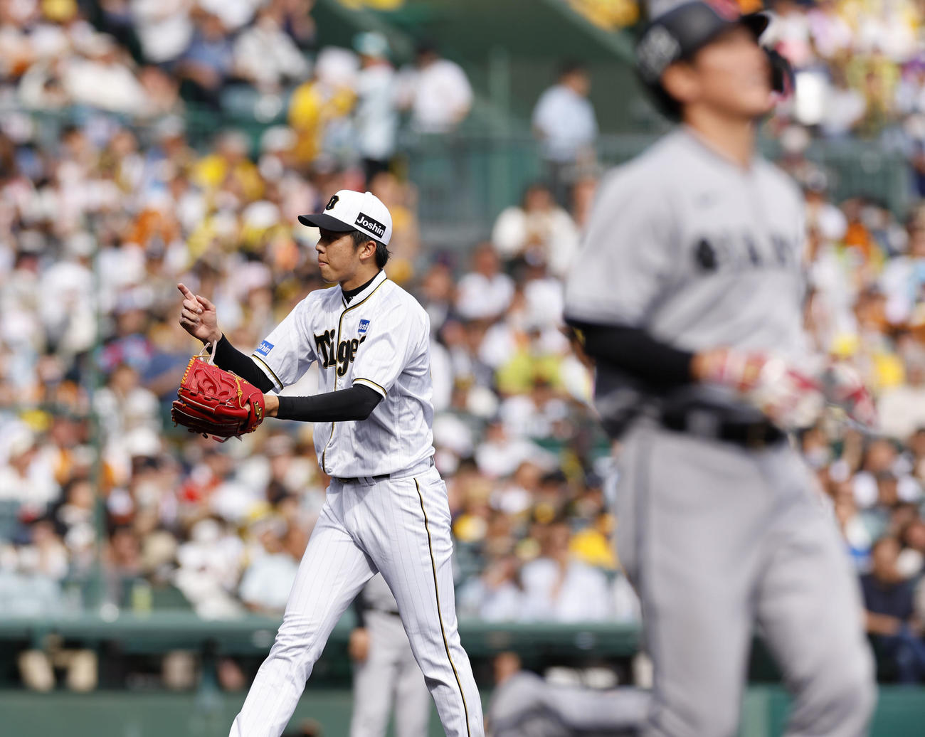 阪神対巨人　5回表巨人2死一塁、坂本（右）を遊ゴロに打ち取りグラブをたたく阪神才木（撮影・藤尾明華）