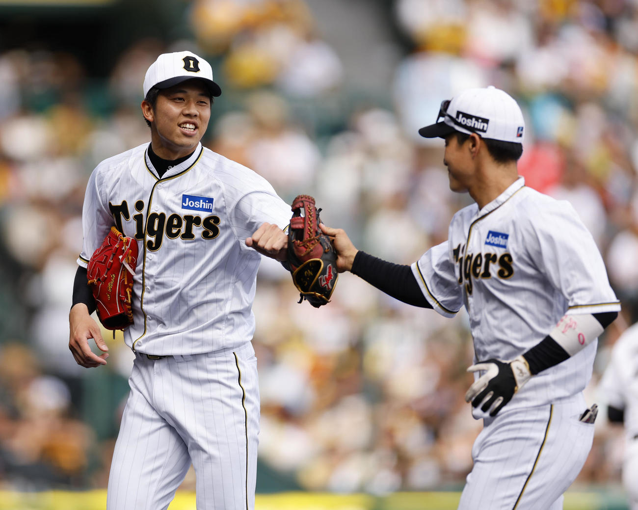 阪神対巨人　5回表巨人2死一塁、坂本を遊ゴロに打ち取り木浪（右）とタッチを交わす阪神才木（撮影・藤尾明華）