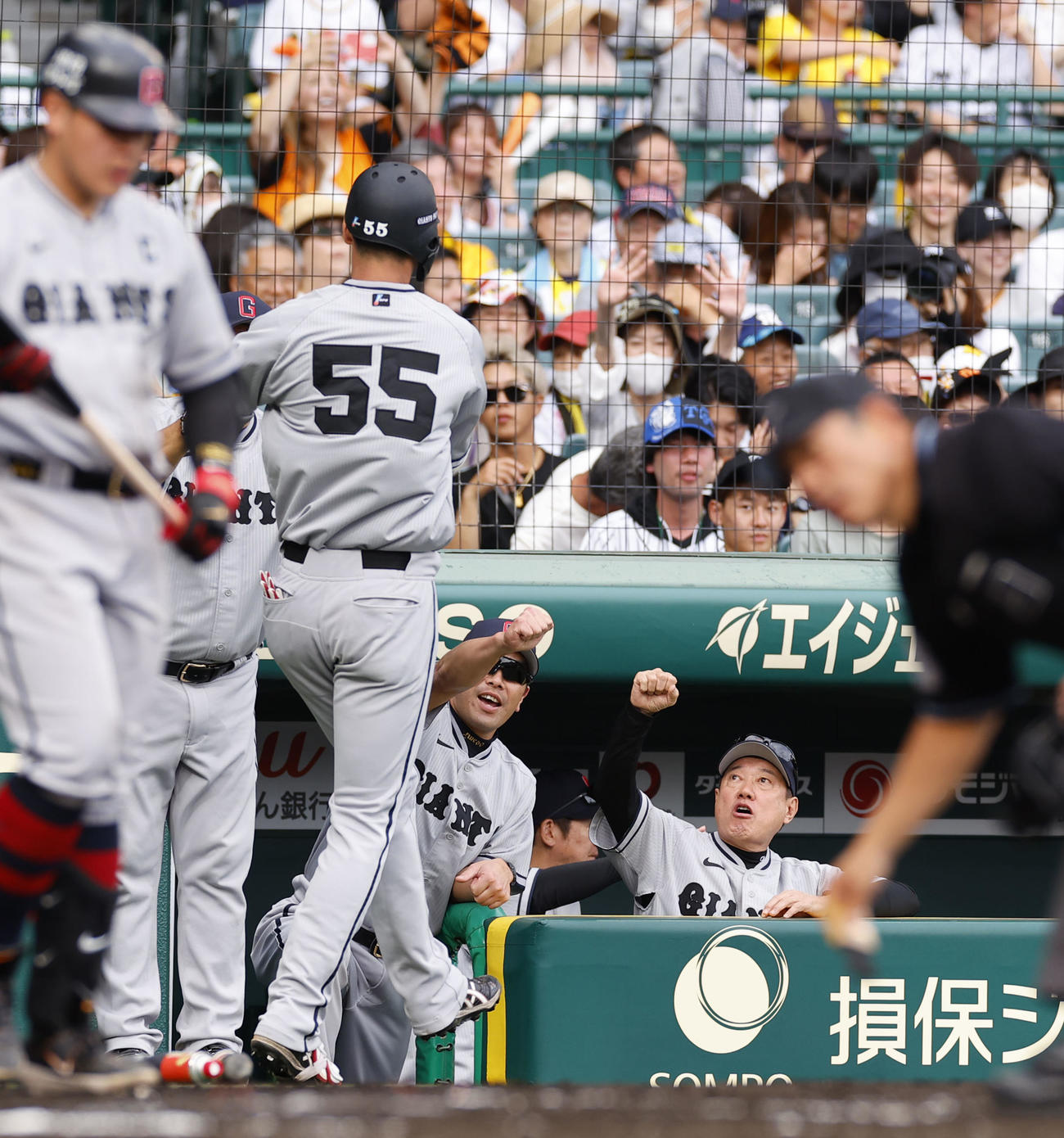 阪神対巨人　7回表巨人無死、右越えに本塁打を放った秋広（55）を迎える原監督（奥右）（撮影・藤尾明華）