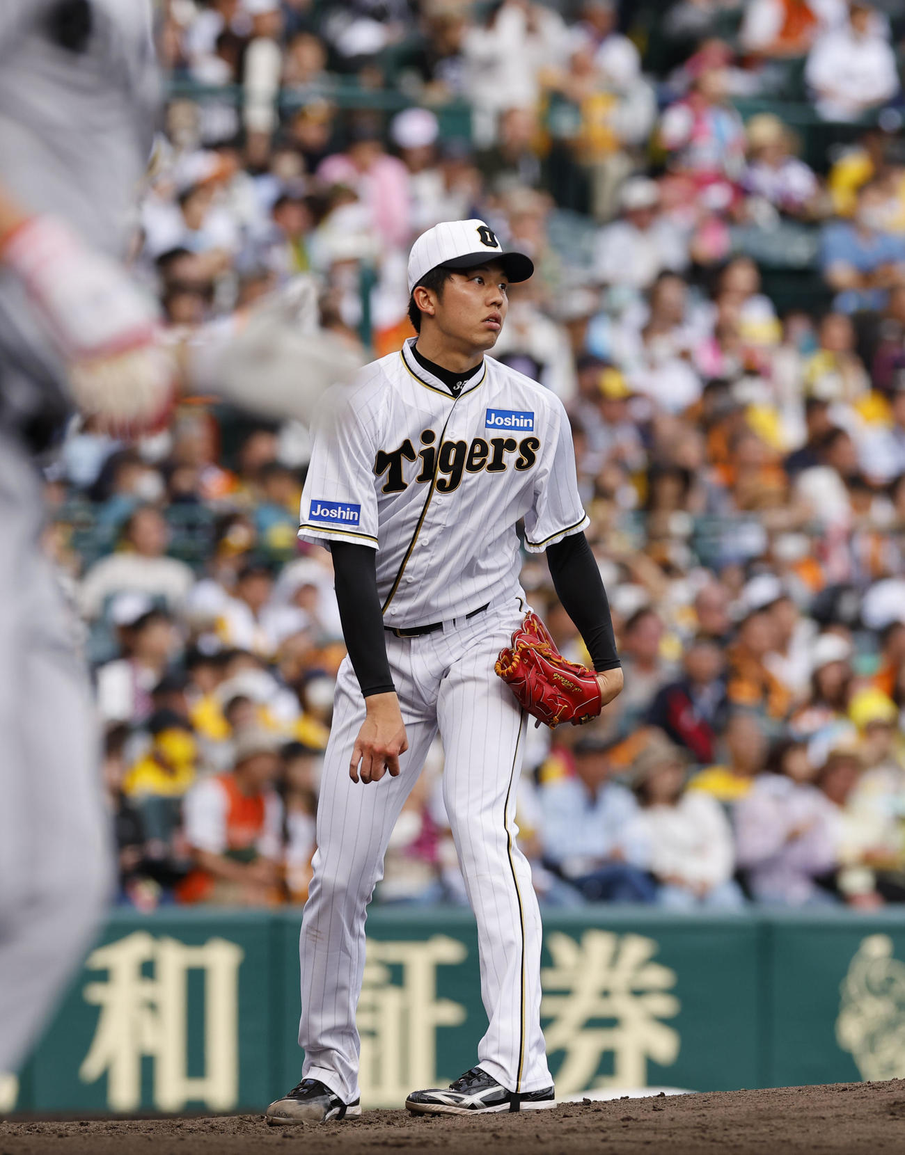 阪神対巨人　7回表巨人無死、秋広に本塁打を浴びた阪神才木（撮影・藤尾明華）
