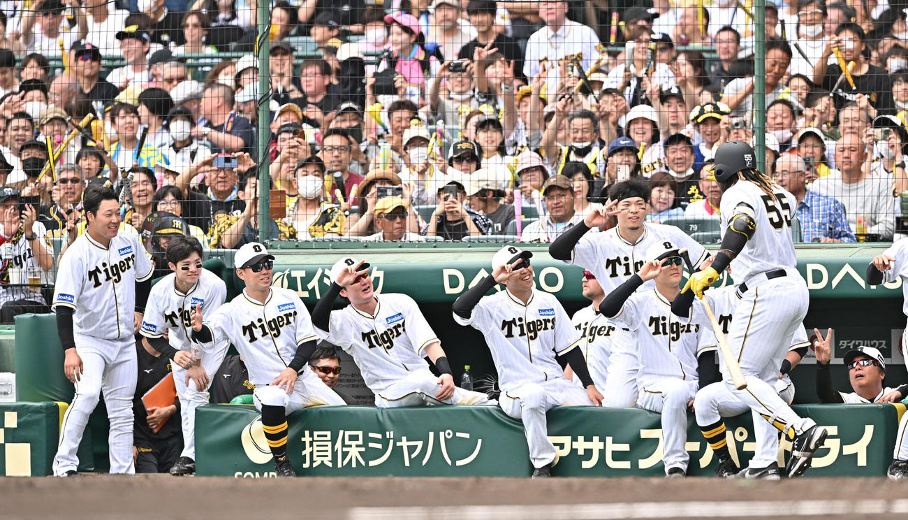 阪神対巨人　4回裏阪神2死、先制ソロ本塁打を放ったミエセス（手前）を祝福する選手たち（撮影・滝沢徹郎）
