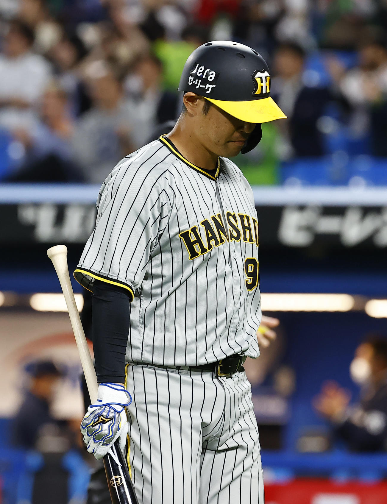 阪神原口文仁（23年5月）