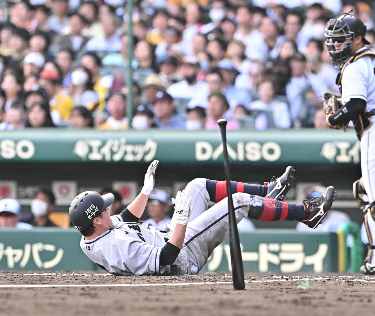 阪神対巨人　7回表巨人無死一塁、長野は遊ゴロを放ちアクシデントで倒れ込む（2023年5月27日）