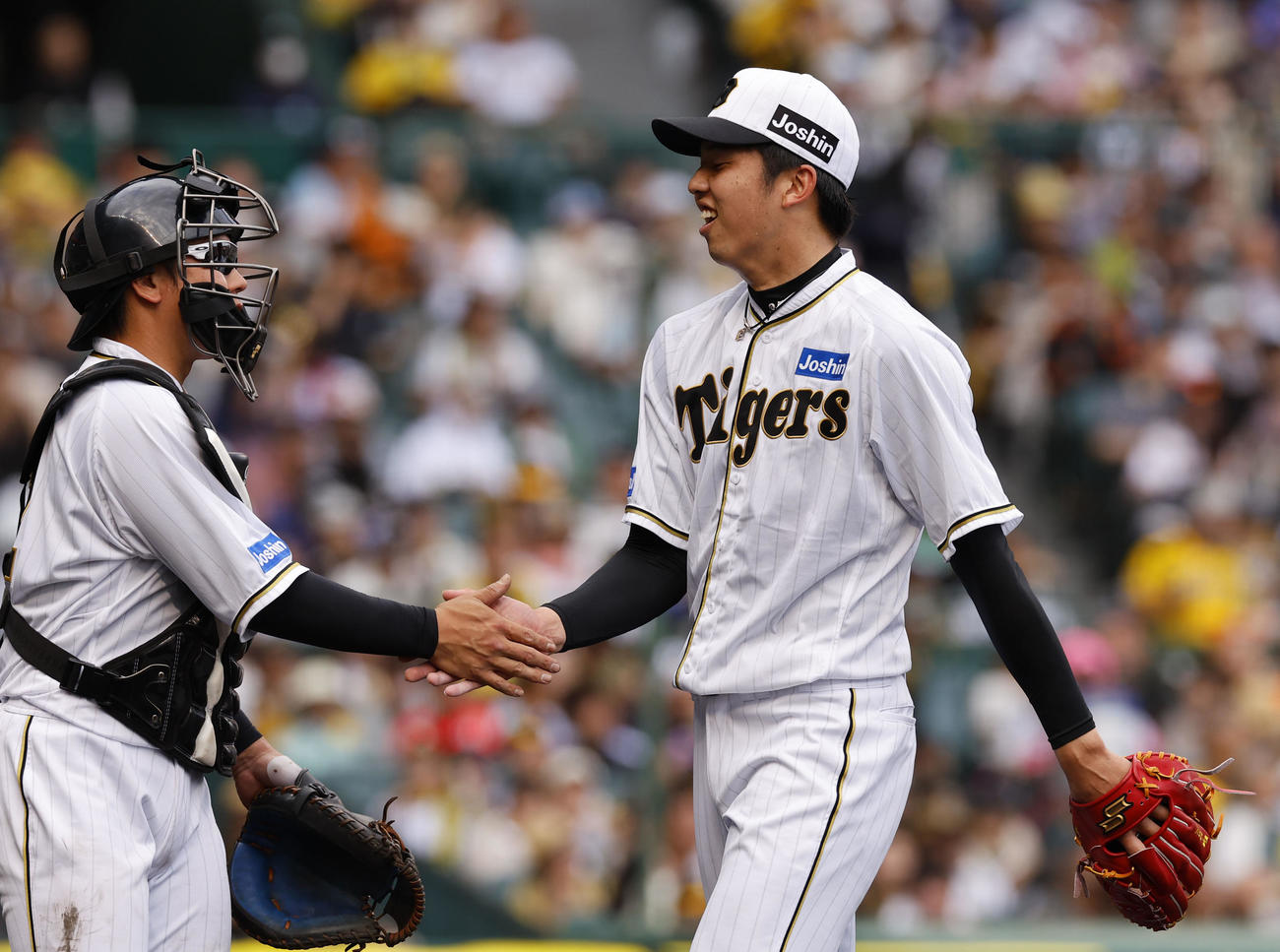 梅野（左）と笑顔でタッチを交わす阪神才木（2023年5月28日撮影）