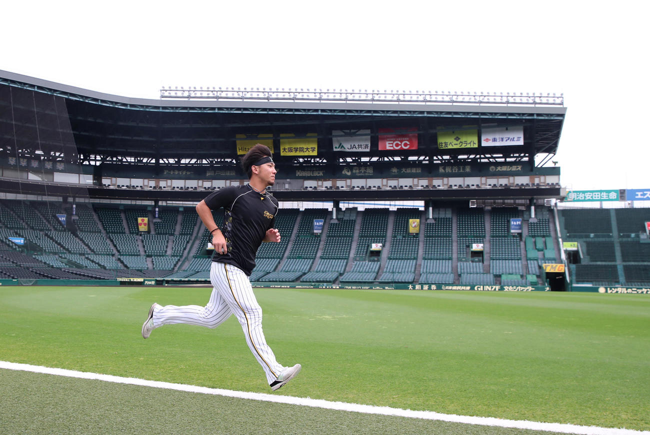 グラウンドでランニングする阪神伊藤将（撮影・加藤哉）