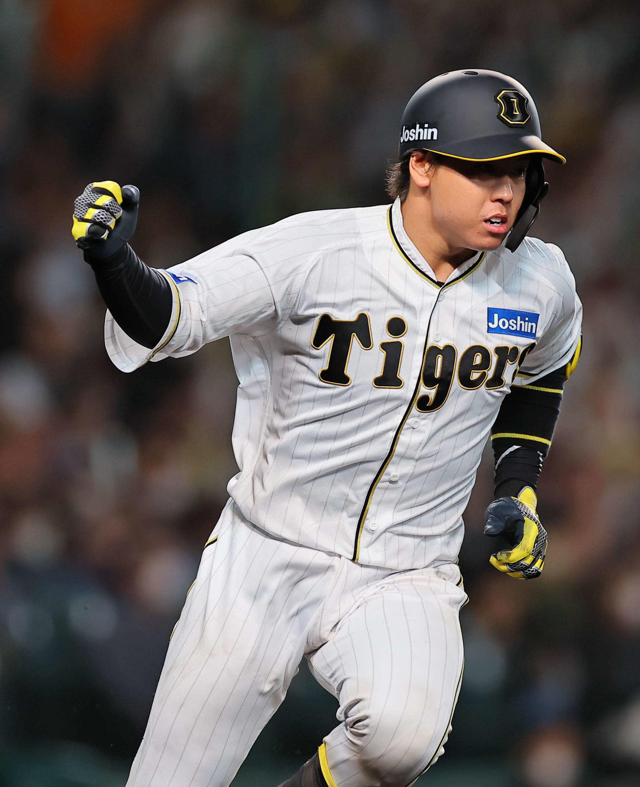 阪神梅野隆太郎（2023年5月26日撮影）