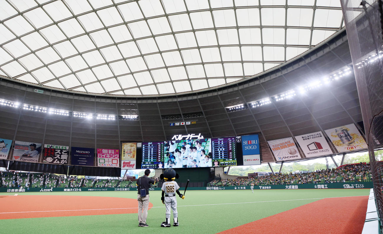 西武対阪神　試合開始前の外野スタンドは阪神ファンのほうが多い？（撮影・加藤哉）
