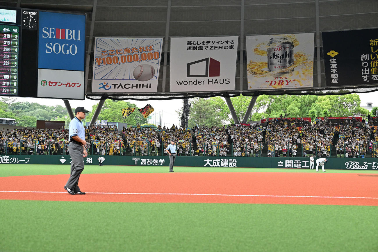 西武対阪神　ベルーナドームで応援する阪神ファン（撮影・滝沢徹郎）