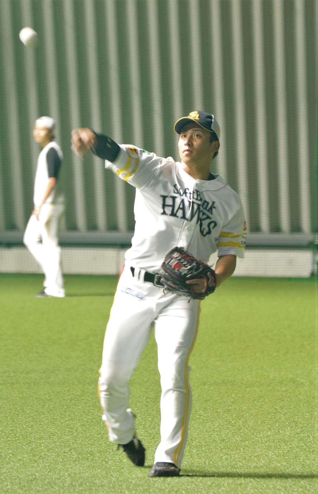 キャッチボールを行うソフトバンク野村勇（撮影・佐藤究）