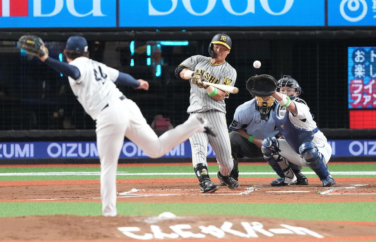 西武対阪神　2回表阪神無死、投ゴロに倒れる前川。投手与座（撮影・鈴木みどり）