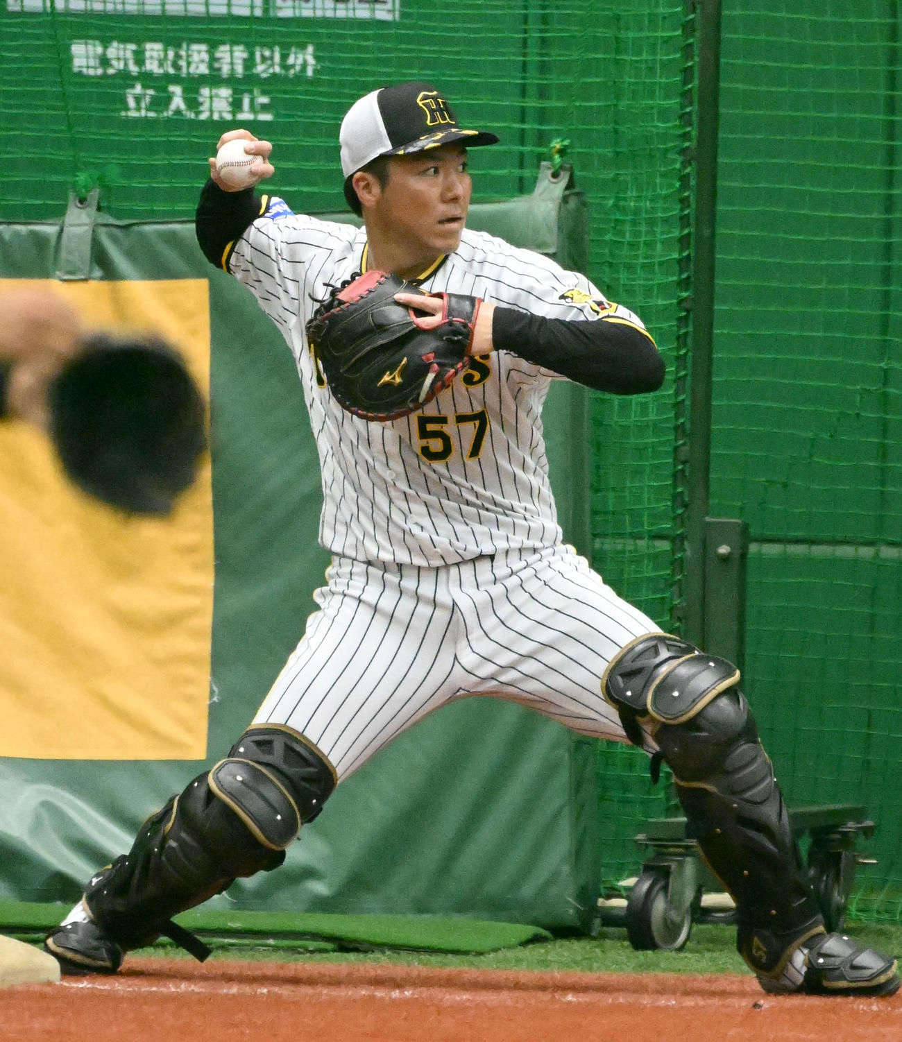 キャッチボールをする阪神長坂（撮影・石井愛子）