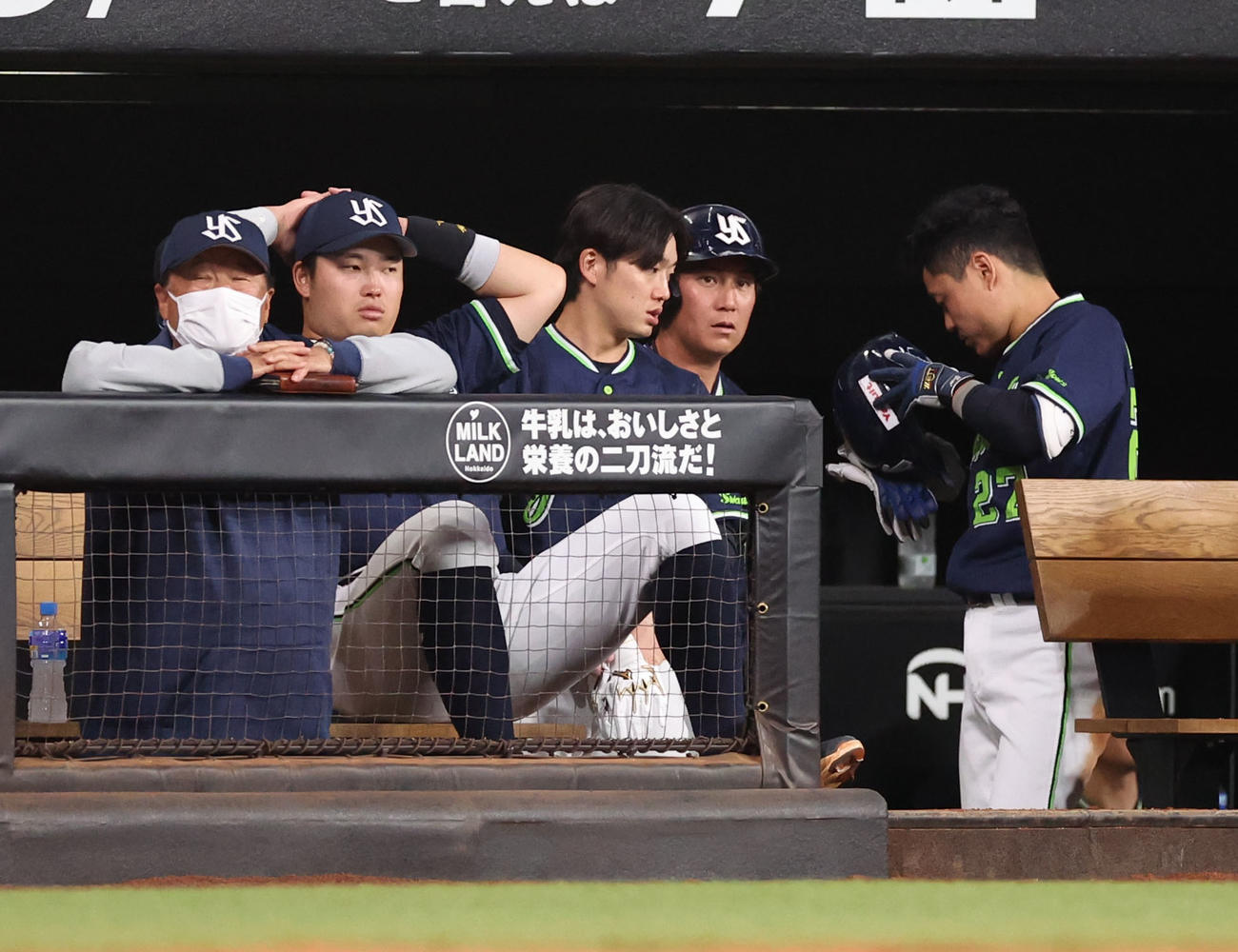 日本ハム対ヤクルト　9回表、ベンチで頭を抱えるヤクルト村上（撮影・佐藤翔太）