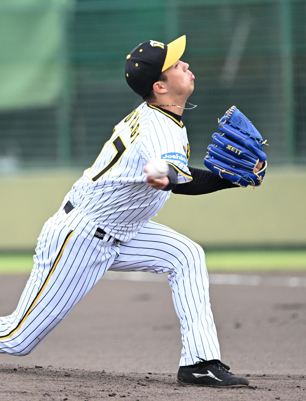 阪神対中日　阪神先発の青柳（撮影・石井愛子）
