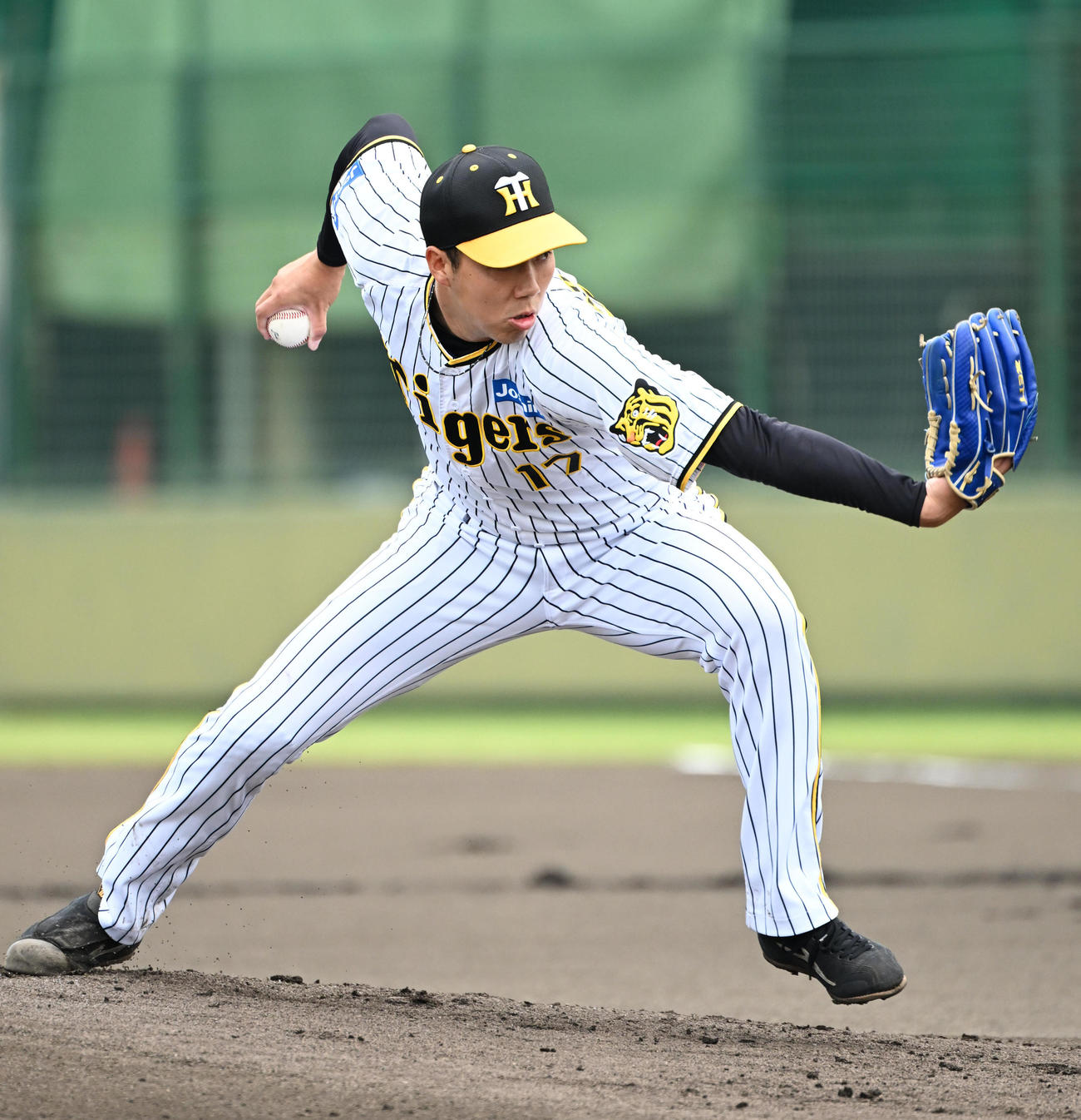 阪神対中日　阪神先発の青柳（撮影・石井愛子）