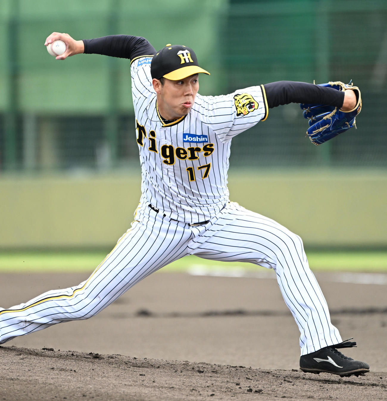 阪神対中日　阪神先発の青柳（撮影・石井愛子）