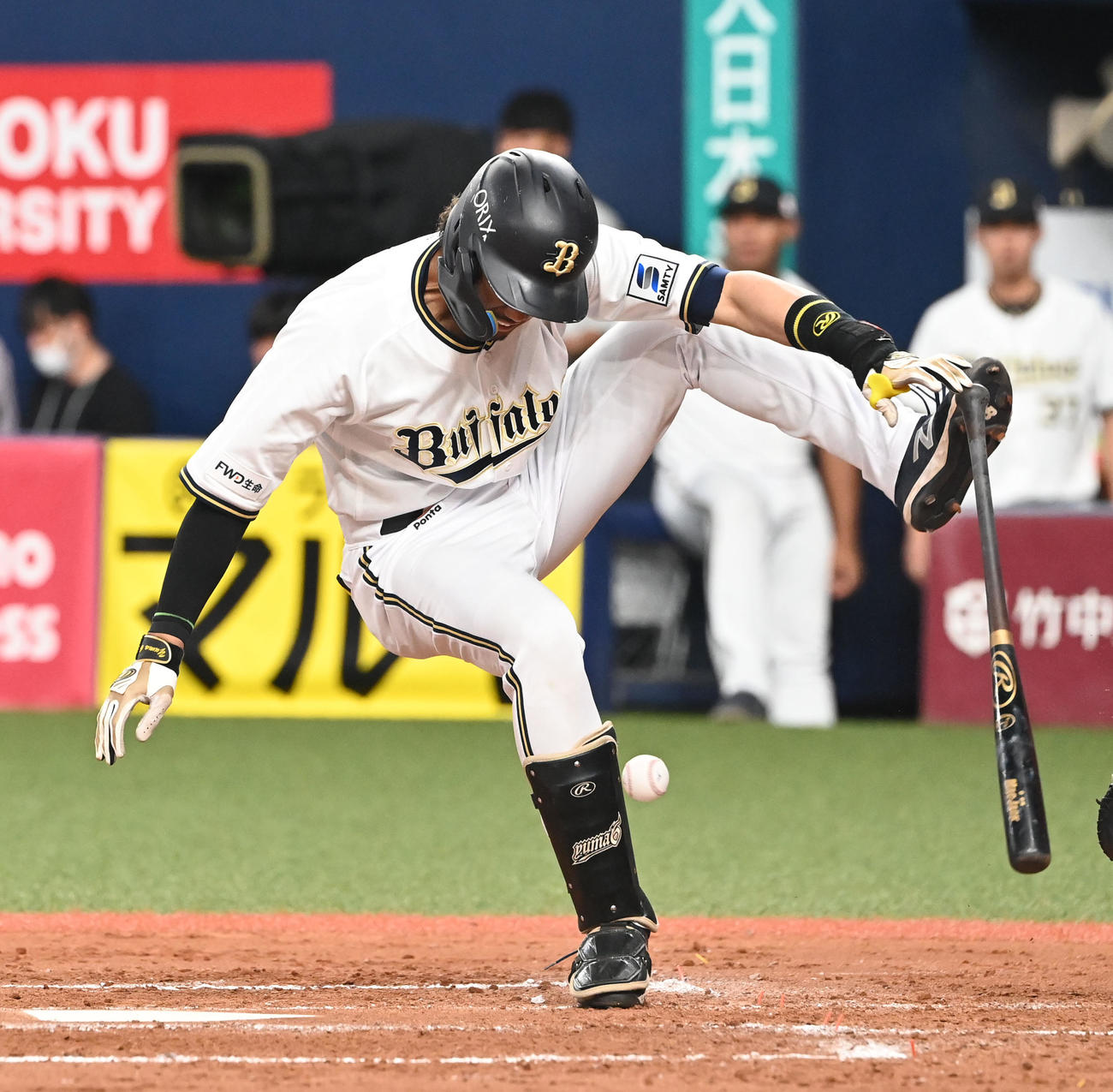 オリックス対広島　4回裏オリックス無死、足に死球を受ける宗（撮影・和賀正仁）