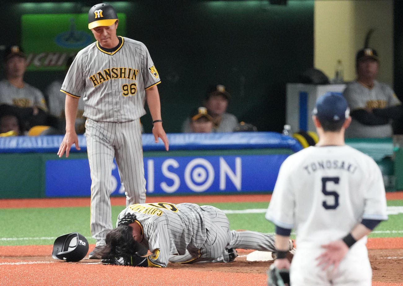 西武対阪神　5回表阪神2死一塁、打者中野の時、けん制を受け帰塁した際、痛がる一塁走者近本（撮影・鈴木みどり）