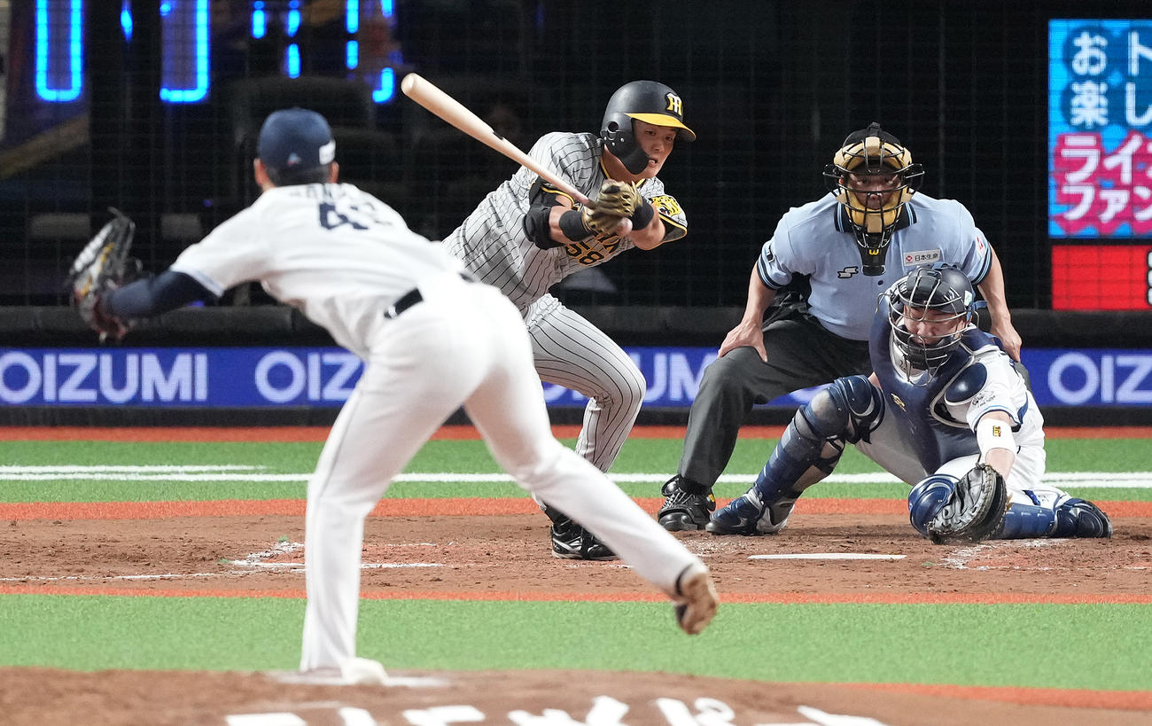 西武対阪神　4回表阪神2死一、二塁、空振り三振に倒れる前川。投手本田（撮影・鈴木みどり）
