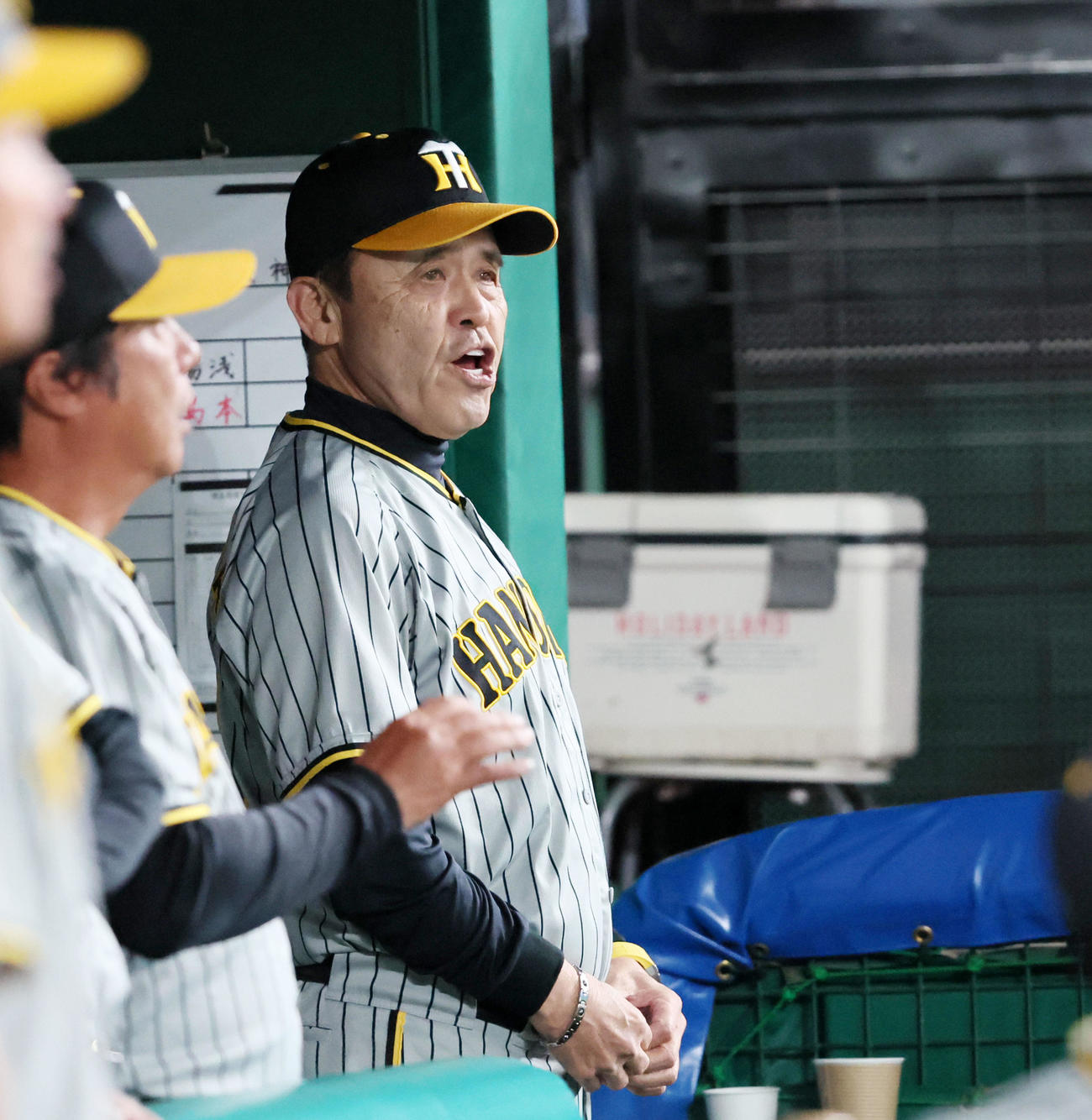 西武対阪神　7回裏、ベンチの中で声を出す岡田監督（撮影・加藤哉）