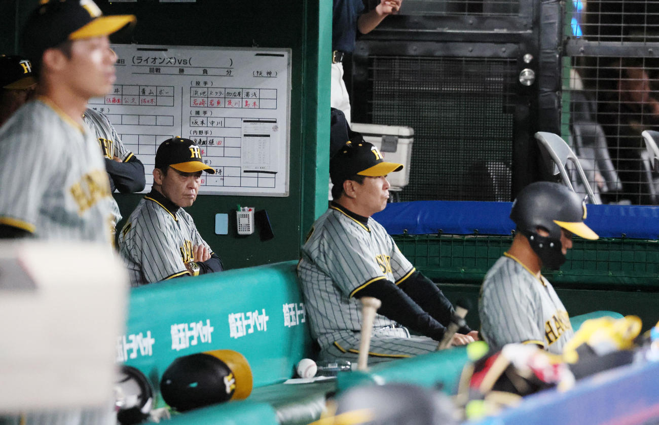 西武対阪神　6回表を終えベンチからグラウンドを見つめる岡田監督。右はうつむく前川（撮影・加藤哉）