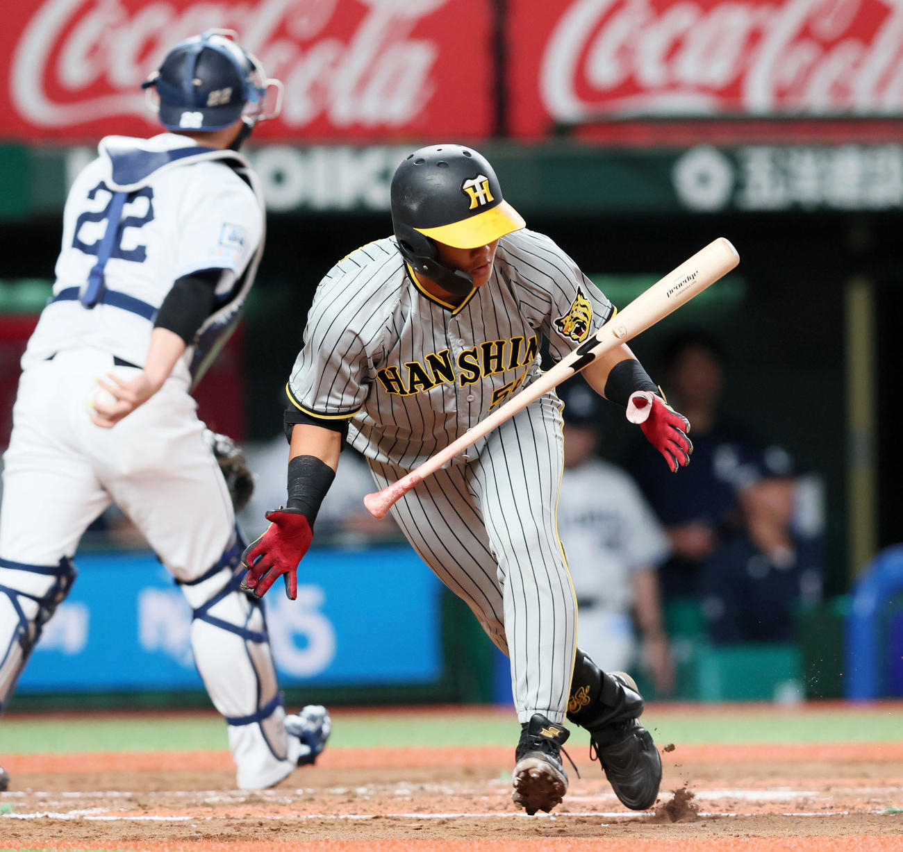 西武対阪神　2回表阪神2死、前川は三振に倒れる（撮影・加藤哉）