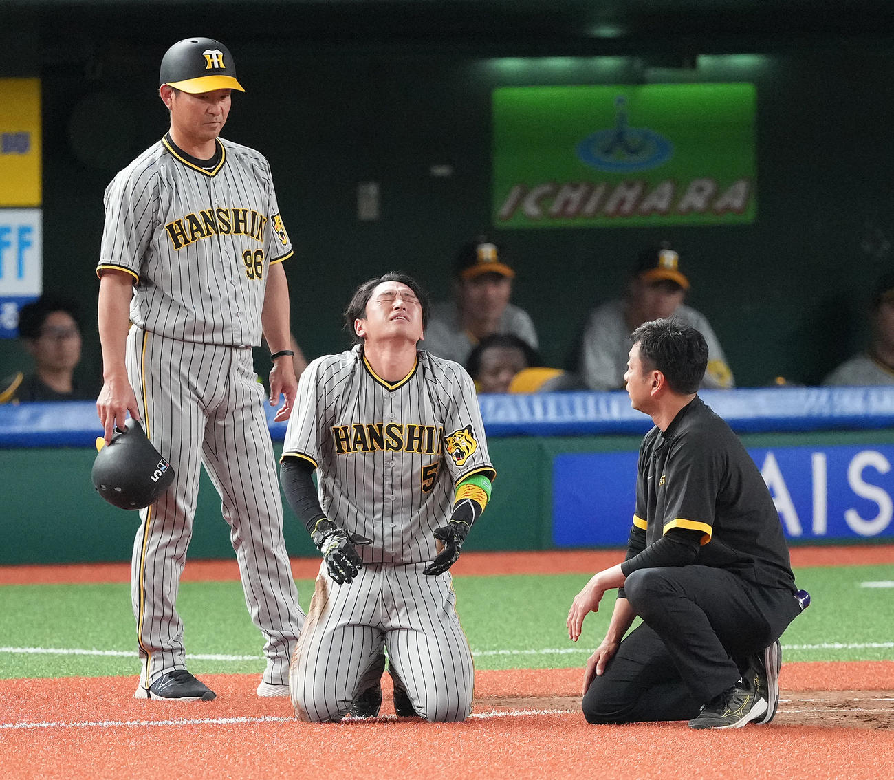 西武対阪神　5回表阪神2死一塁、打者中野の時、けん制を受け帰塁した際、痛がる一塁走者近本（撮影・鈴木みどり）