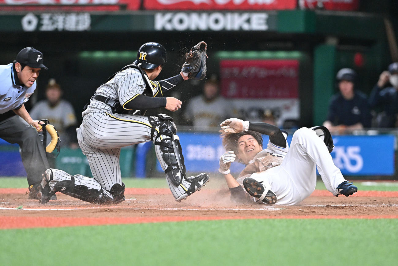 西武対阪神　7回裏西武1死一、三塁、源田のスクイズから三塁走者鈴木（右）は生還を狙うもアウトとなる。捕手梅野（撮影・滝沢徹郎）